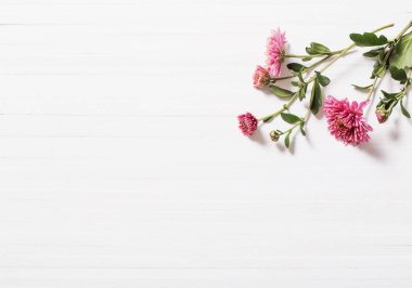 Beyaz ahşap zemin üzerinde pembe krizantem 