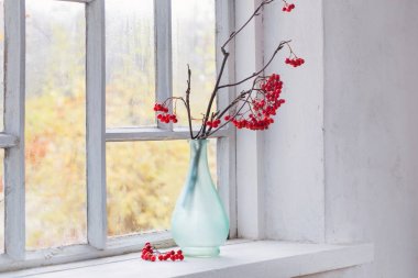 Pencere pervazı dallarda Rowan