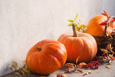 ahşap zemin üzerinde turuncu kabak