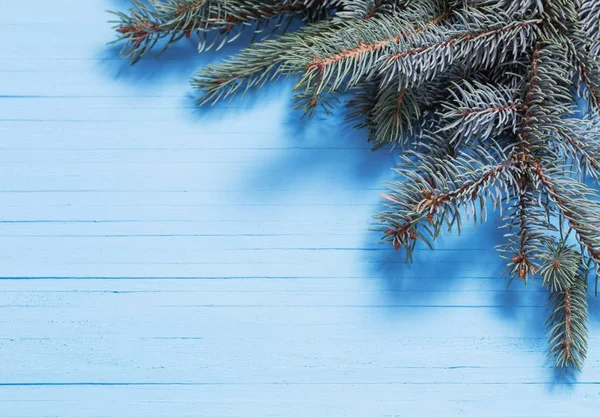 Tannenzweig auf blauem Holzhintergrund — Stockfoto