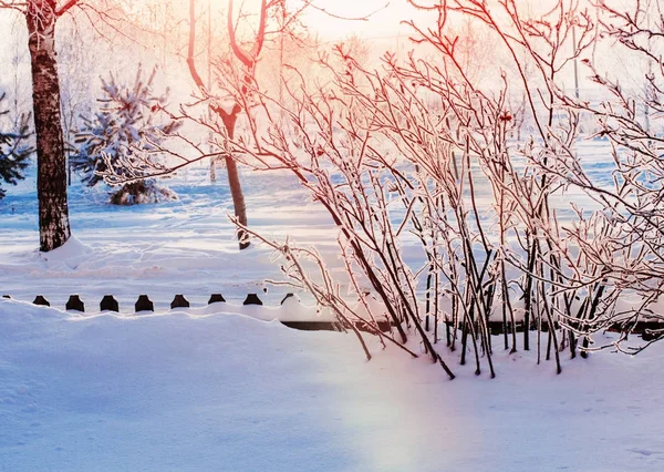 Zonsondergang in de prachtige winter met vorst — Stockfoto