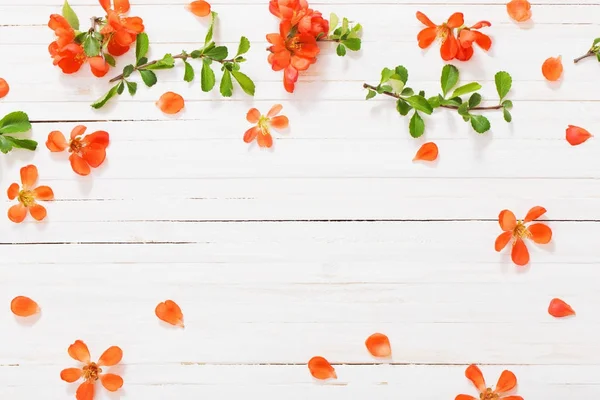 Pomarańczowe kwiaty na biały drewniany stół — Zdjęcie stockowe
