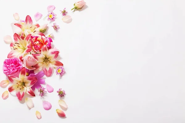 白い背景の上の夏の花 — ストック写真
