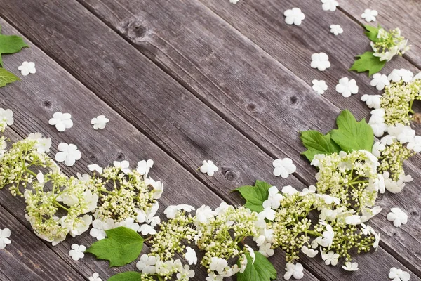 Τα λουλούδια Viburnum σε φόντο ξύλινη — Φωτογραφία Αρχείου