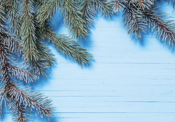 Tannenzweig auf blauem Holzhintergrund — Stockfoto