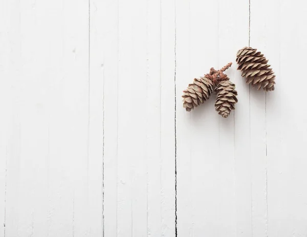 Cones on white wooden background — Stock Photo, Image