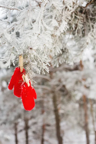Piros ujjatlan kesztyű téli erdőben — Stock Fotó