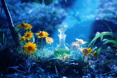 Ormandaki şişe sihirli iksir