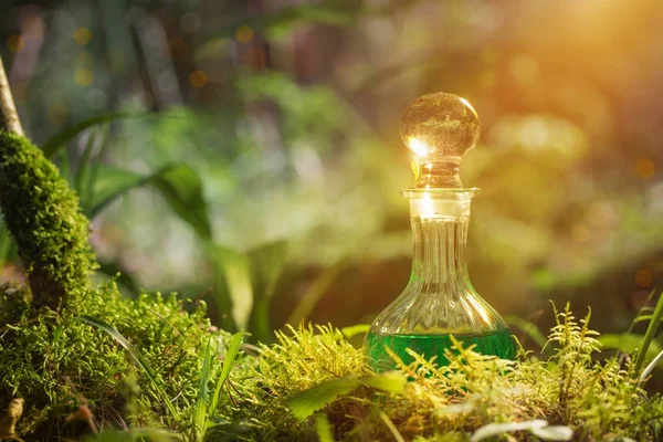 Zaubertrank in der Flasche im Wald — Stockfoto