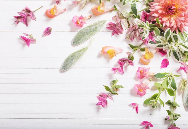 Красивые цветы на белом деревянном фоне — стоковое фото