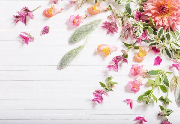 Vackra blommor på vit trä bakgrund — Stockfoto