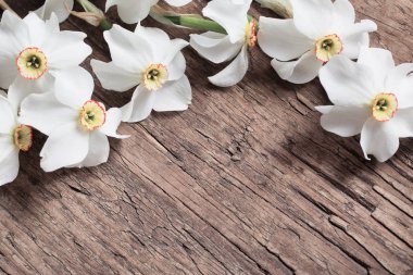 ahşap zemin üzerine nergis