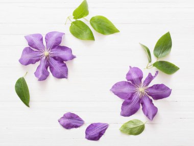 arka plan ile mor akasma