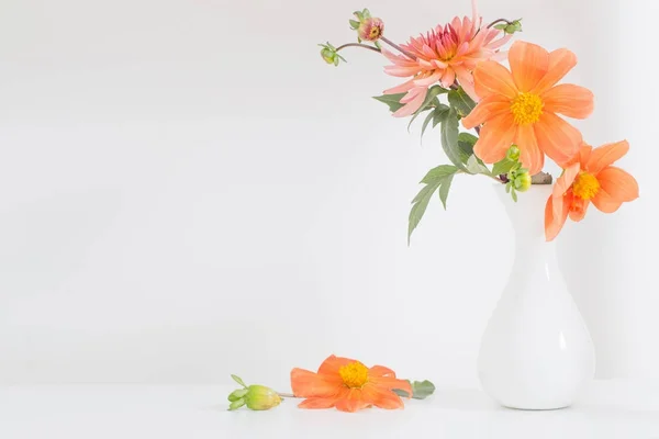 Dahlia laranja em vaso branco sobre fundo branco — Fotografia de Stock