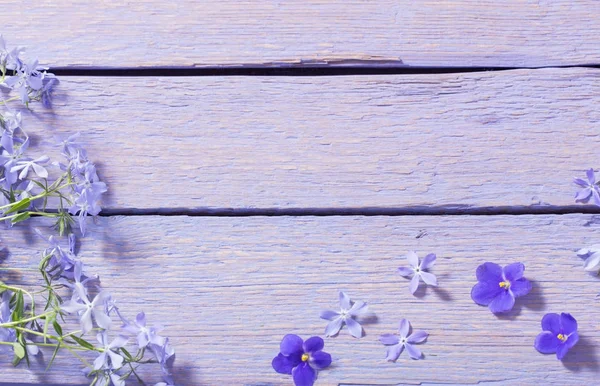 Flores de primavera sobre fondo de madera —  Fotos de Stock