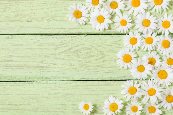 Chamomile flowers on green wooden background — Stock Photo, Image