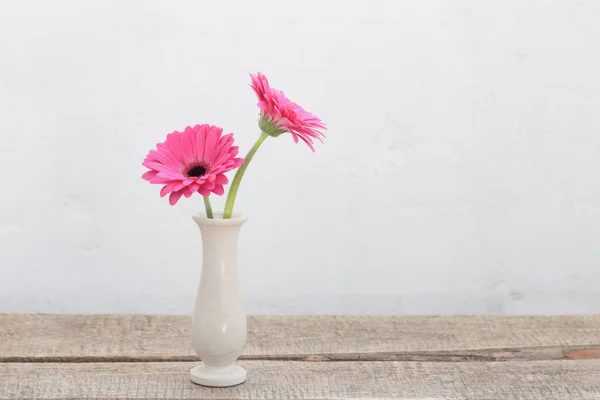 Růžová gerbera na pozadí staré zdi — Stock fotografie