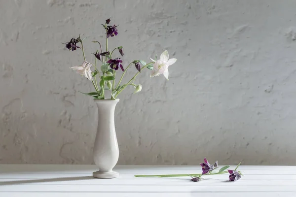 鲜花插在花瓶里背景老白墙上 — 图库照片