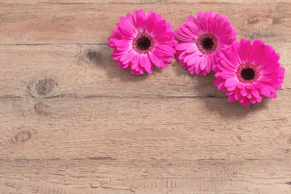 Růžová Gerbera na staré dřevěné pozadí — Stock fotografie