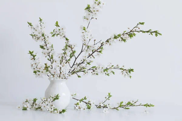 Flores brancas da primavera em vaso — Fotografia de Stock