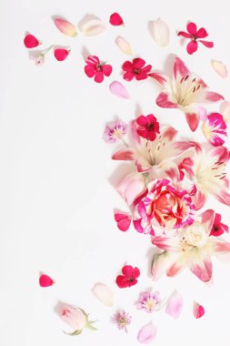 beyaz zemin üzerine yaz çiçek