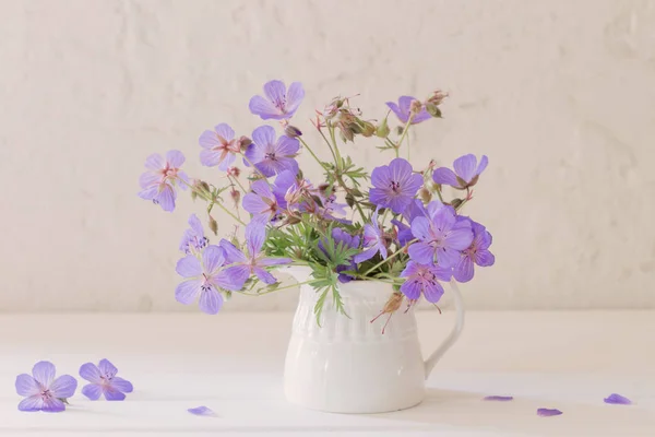 Flores em jarro no fundo branco — Fotografia de Stock