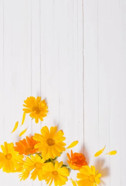 Calendula (Marigold) herbal tea  on white wooden table — Stock Photo, Image