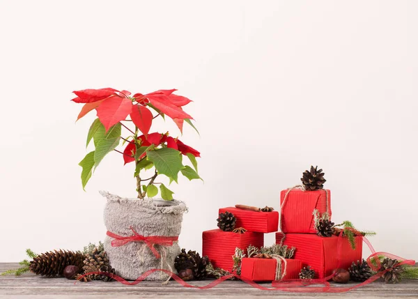 Regalos Navidad Sobre Fondo Blanco — Foto de Stock