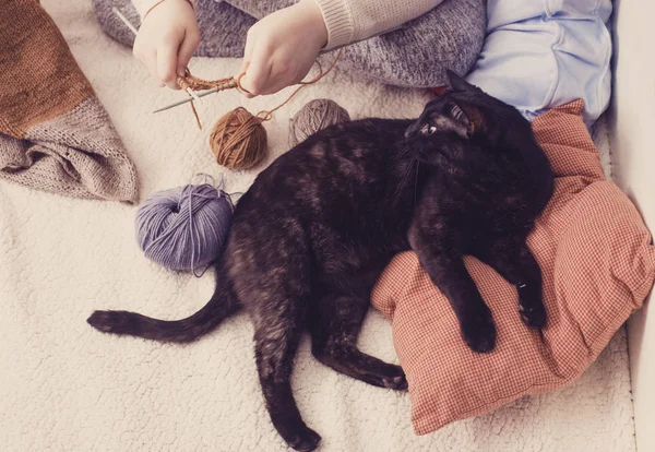 Girl knits och svart katt ligger på kudde — Stockfoto