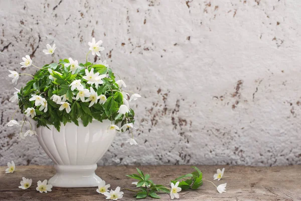 White snowdrop on old background — Stock Photo, Image