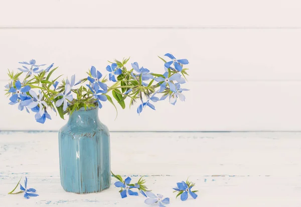 白い背景の上に花瓶のツルニチニチソウ — ストック写真