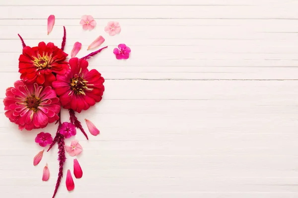 Hintergrund mit Zinnia-Blumen — Stockfoto