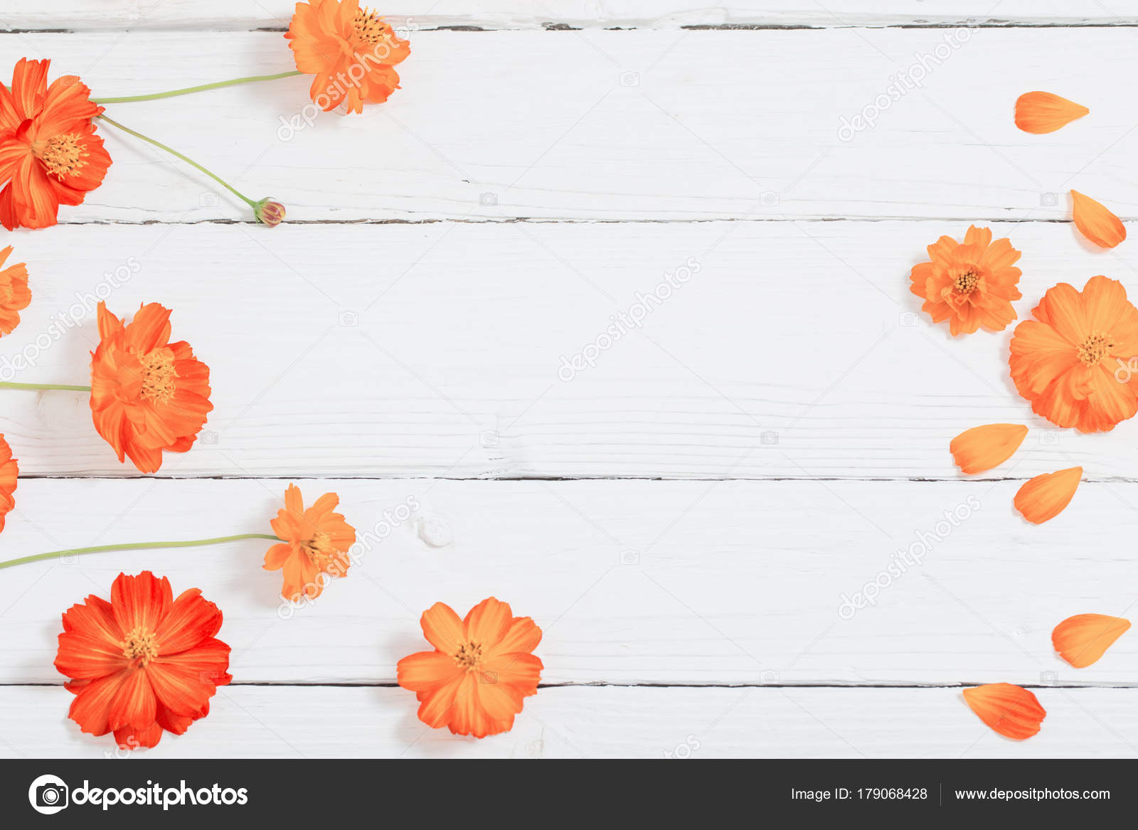 Orange flower background Stock Photos, Royalty Free Orange flower background  Images | Depositphotos