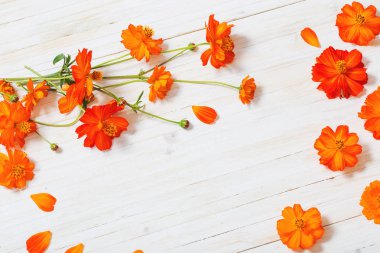 Beyaz ahşap zemin üzerinde turuncu yaz çiçek