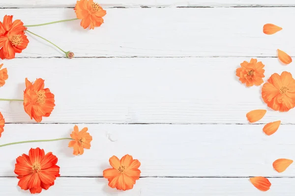 Oranžové letní květy na bílém pozadí dřevěná — Stock fotografie