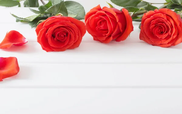 Красные розы на фоне белых деревянных досок — стоковое фото