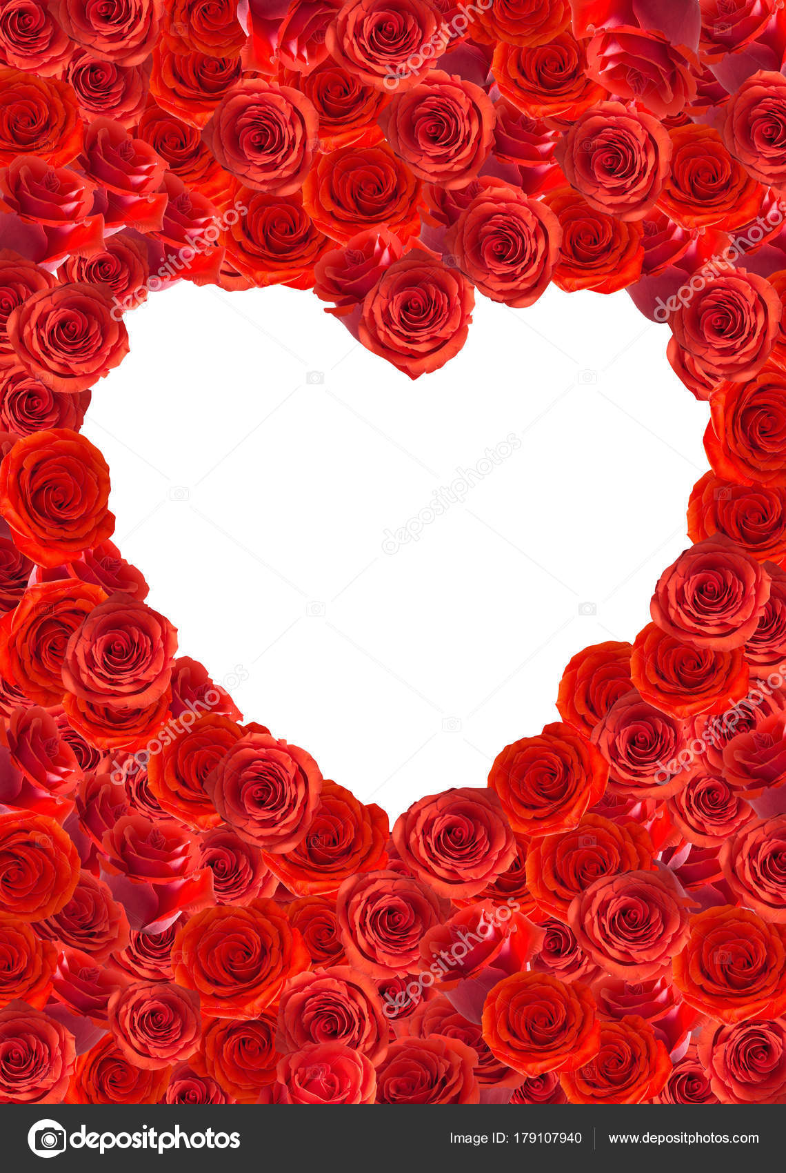 rote Rosen Herz isoliert auf weißem Hintergrund — Stockfoto
