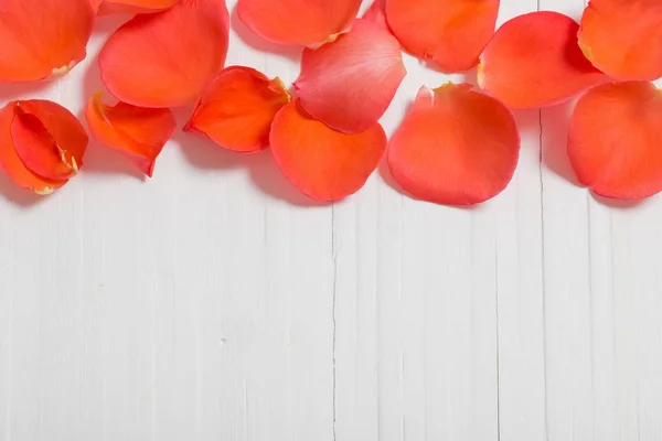 Rose petal on white wooden background — Stock Photo, Image
