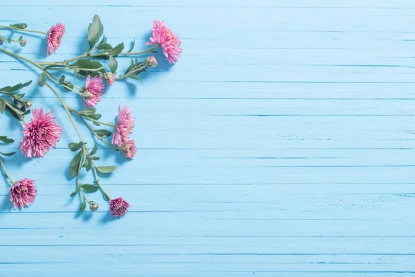 Mavi ahşap zemin üzerine pembe krizantem 