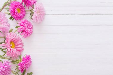 Aster Beyaz ahşap zemin üzerinde