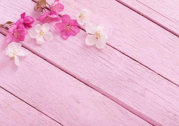 Różowy wiosna kwiaty na podłoże drewniane — Zdjęcie stockowe