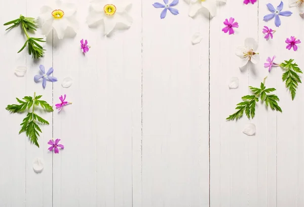 Весняні квіти на білому дерев'яному фоні — стокове фото