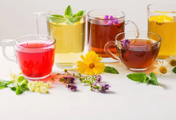 Herbal tea in cups on a white background — Stock Photo, Image