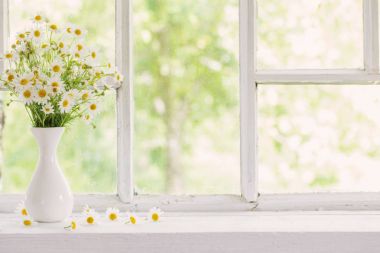 chamomile in vase on windowsill clipart