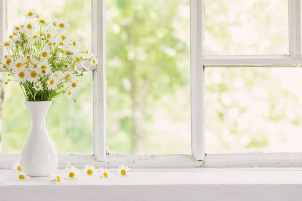 Chamomile in vase on windowsill — Stock Photo, Image