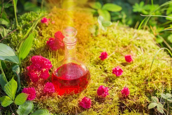 Potion magique en bouteille en forêt — Photo