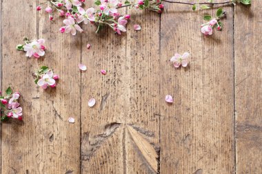 pink spring flowers on old wooden background clipart