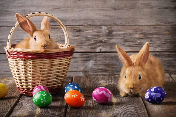 带鸡蛋的复活节兔子，木制背景 — 图库照片