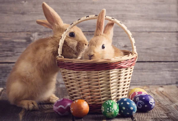 Easter bunny with eggs on wooden background — Stock Photo, Image