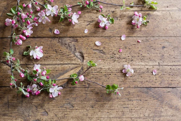 Flores de primavera rosa sobre fondo de madera viejo — Foto de Stock